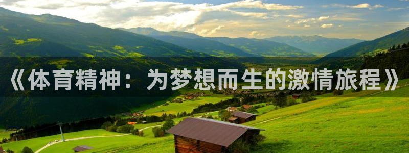 凯发官网下载平台APP:《体育精神:为梦想而生的激情旅程》