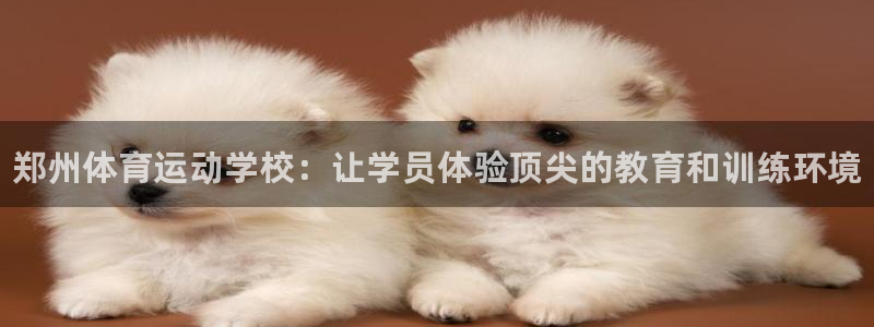 凯发官网下载注册:郑州体育运动学校:让学员体验顶尖的教育和训