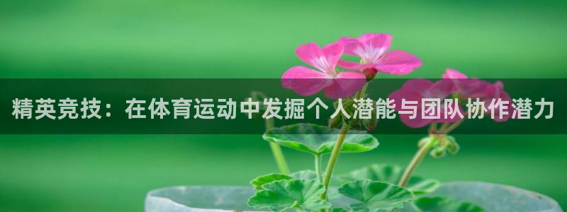 凯发官方正版app娱乐下载:精英竞技:在体育运动中发掘个人潜
