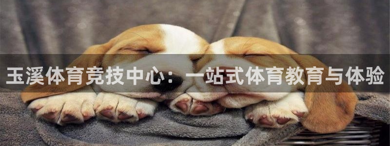 凯发官网下载招商电话是多少:玉溪体育竞技中心:一站式体育教育