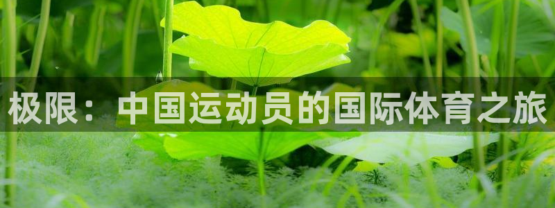 凯发官网下载平台注册要钱吗安全吗:极限:中国运动员的国际体育